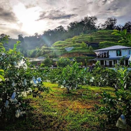 I Do Farmstay Bukit Mertajam Exterior foto