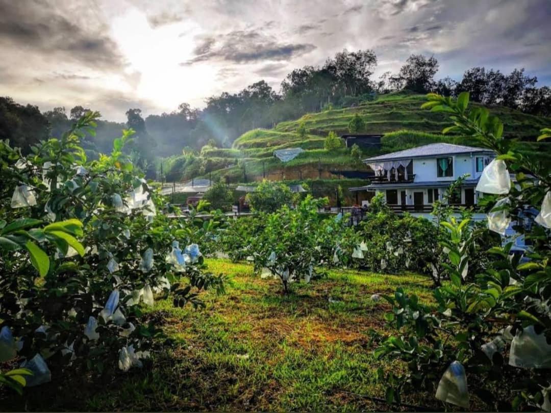 I Do Farmstay Bukit Mertajam Exterior foto